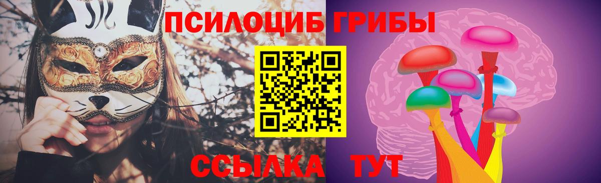 Псилоцибиновые грибы прущие грибы Кубинка